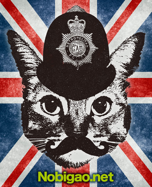 Bobby Cat Police